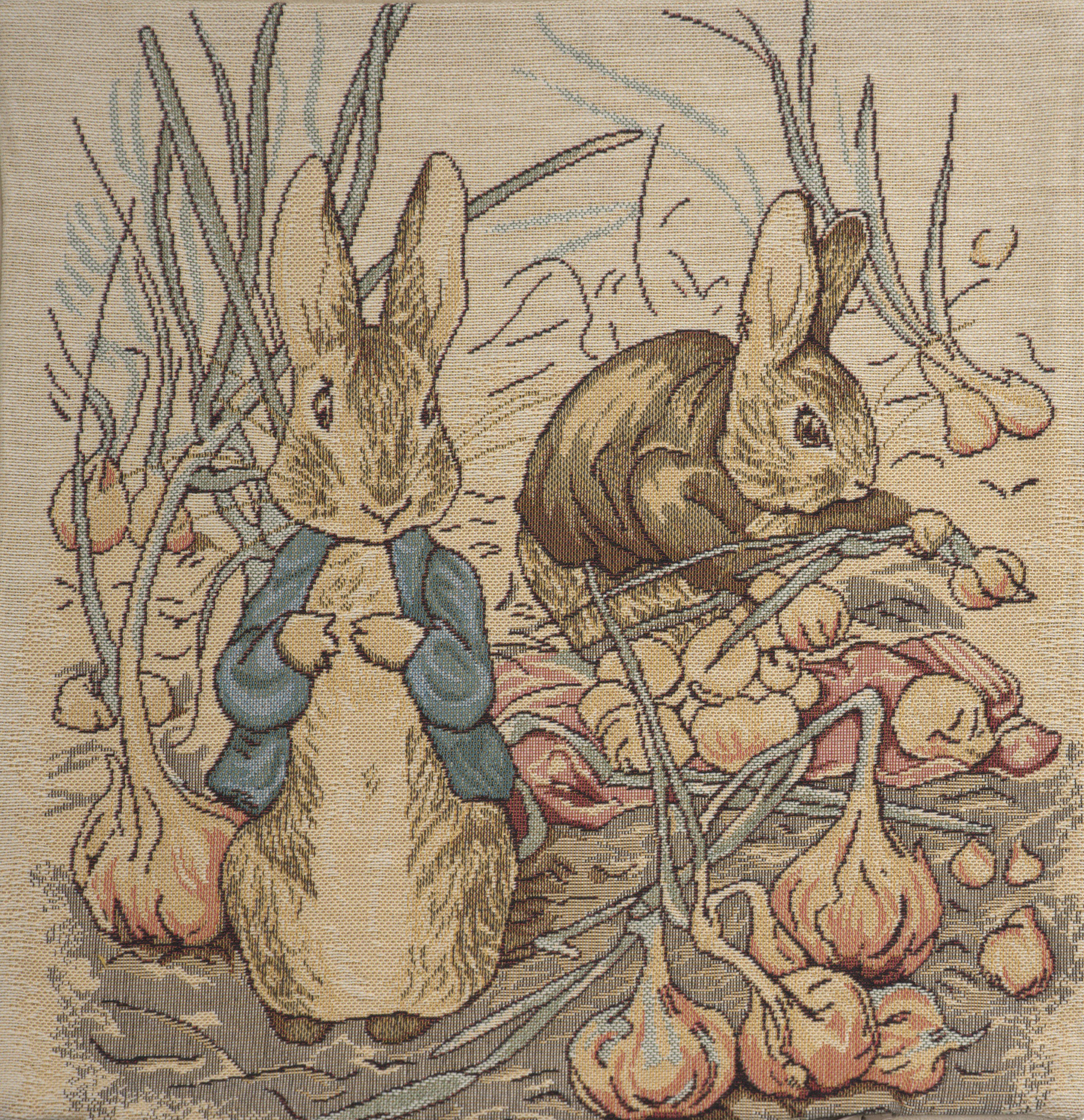 Benjamin Beatrix Potter  European Cushion Cover | Close Up 1