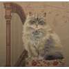 Cat With Harp European Cushion Cover | Close Up 1