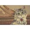Cat With Piano European Cushion Cover | Close Up 4