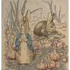 Benjamin Beatrix Potter  European Cushion Cover | Close Up 1