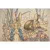 Benjamin Beatrix Potter  European Cushion Cover | Close Up 2