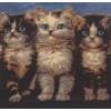 Purrfect Company Decorative Pillow Cushion Cover | Close Up 1